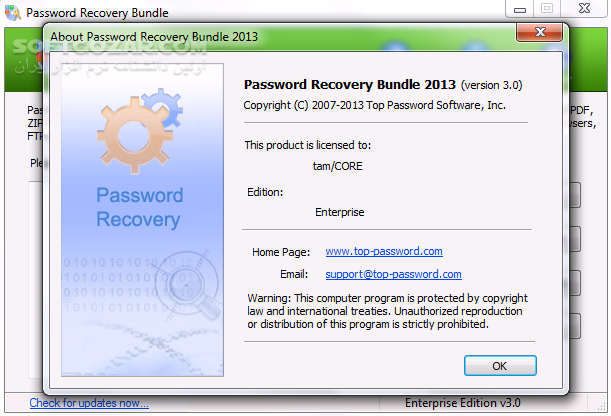 Password Recovery Bundle 2013 Enterprise Edition 3.0   Portable