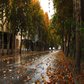 با اتاقک در خاطره‌انگیزترین خیابان‌های تهران اقامت کنید