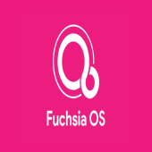 انتشار سیستم عامل فوچیا برای اولین نسل نمایشگر نست هاب