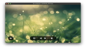 LeafView 3.5.1: مشاهده‌گر تصویر سریع و متن‌باز با ویژگی‌های به‌روز