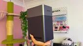 انتقال کارهای پس‌زمینه دسکتاپ به NAS؛ راهکاری برای صرفه‌جویی انرژی