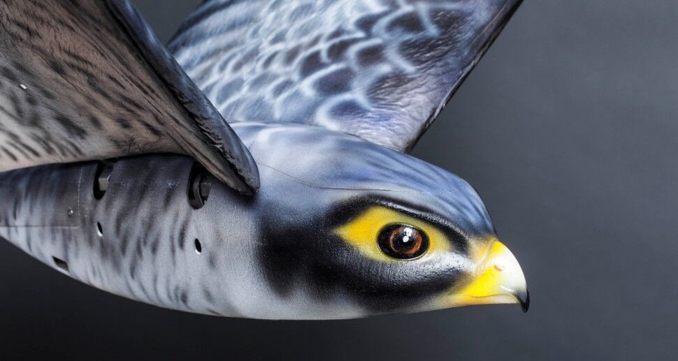 روبات هواپیما پرنده