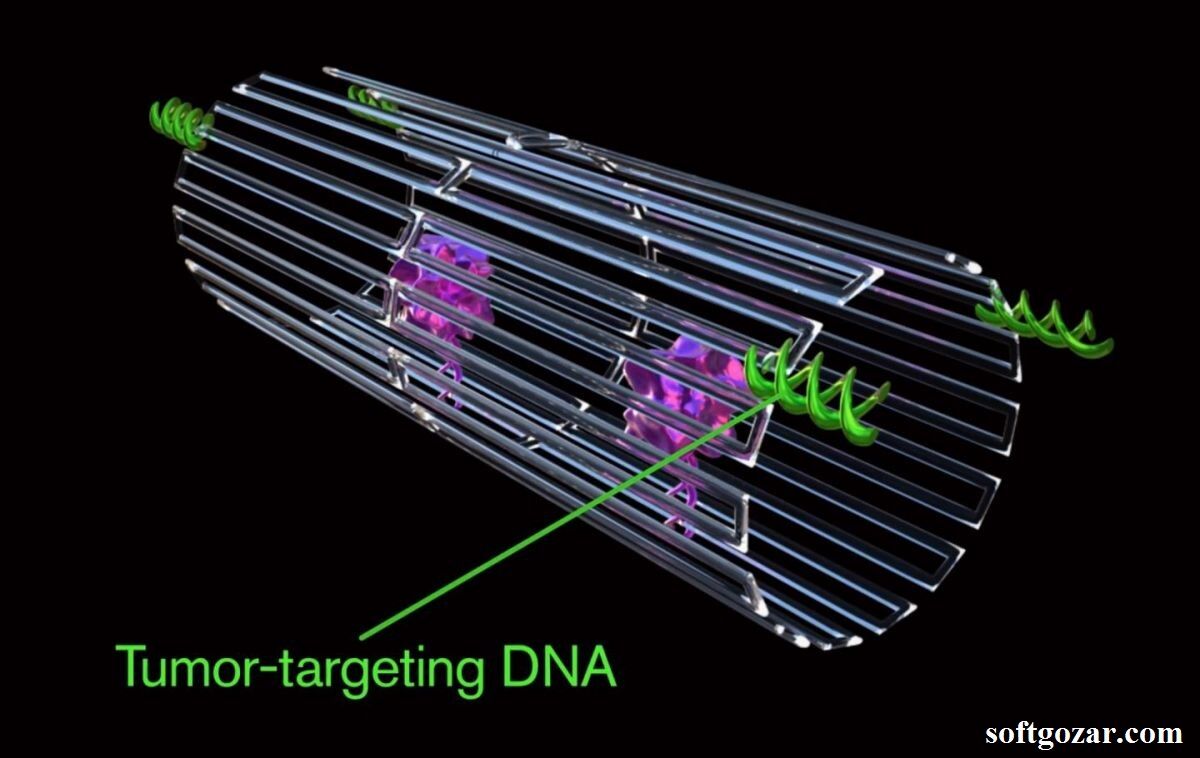 ربات فناوری تکنولوژی
