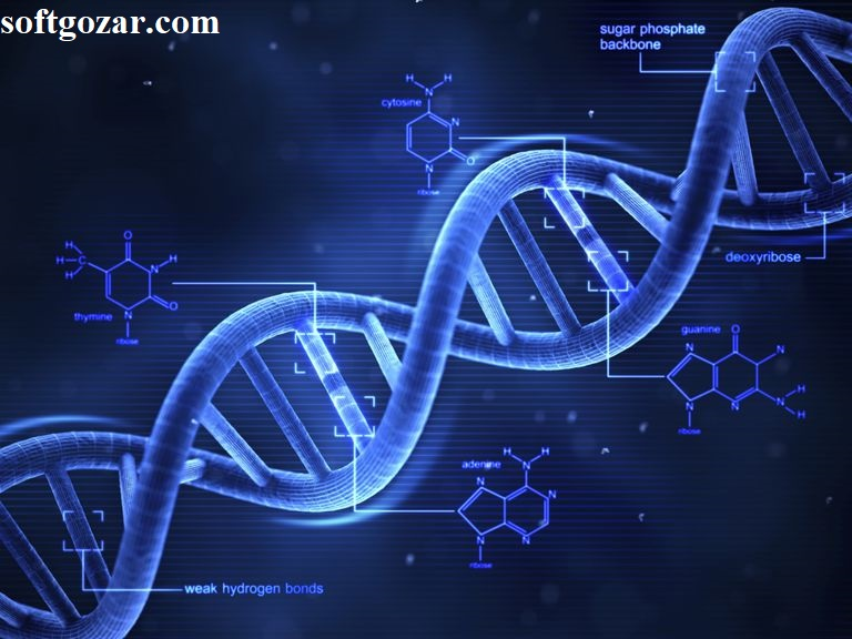 تکنولوژی پزشکی DNA وب