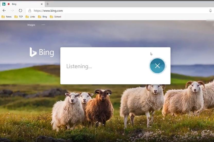 بینگ ویندوز ویندوز 10 مایکروسافت موتور جستجو بینگ
