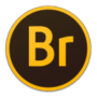 Adobe Bridge CC 2018 v8.1.0.383 Win64/Mac