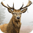 Deer Hunter Reloaded