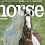مجله تخصصی برای علاقه مندان به اسب سواری و سوارکاری