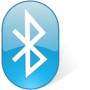 IVT BlueSoleil 10.0.498.0 / 8.0.395.0