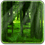 RealDepth Forest 1.0.8 for Android