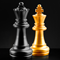 Udemy - The Complete Guide to Chess Tactics