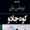 کوه جادو شاهکاری منحصر به فرد از توماس مان رمان‌نویس آلمانی