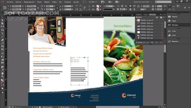 دانلود Adobe Indesign CC 2019 14.0.3.433 + Portable / macOS 14.0.3 - دانلود ادوب ایندیزاین 2019 - سافت گذر