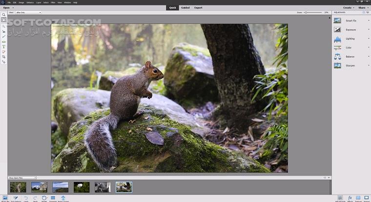 دانلود Adobe Photoshop Elements 2024 24.0 / 2023 / 2022.4 / 2021.3 / macOS 2022 - دانلود ادوب فوتوشاپ المنت - سافت گذر