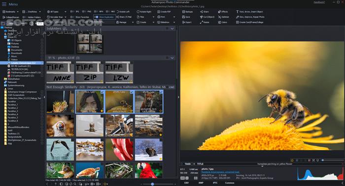 دانلود Ashampoo Photo Commander 18.0.2 (x64) - دانلود ویرایش عکس - سافت گذر