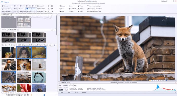 دانلود Ashampoo Photo Commander 18.0.2 (x64) - دانلود ویرایش عکس - سافت گذر
