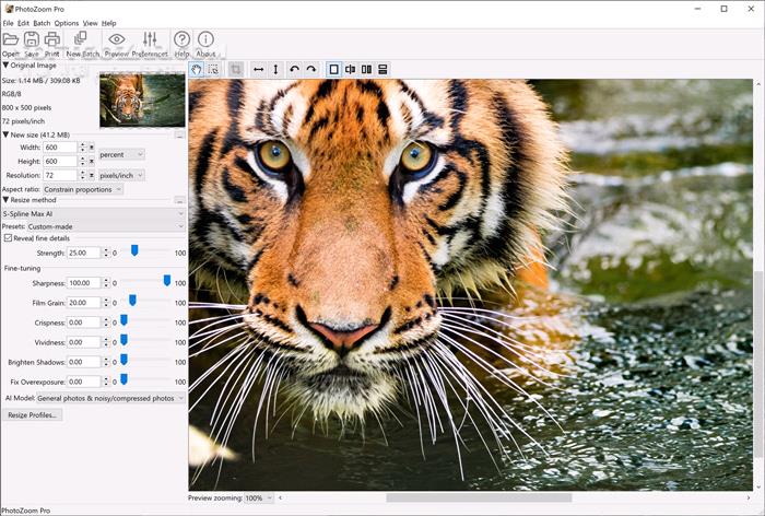 دانلود Benvista PhotoZoom Pro 9.0.2 - دانلود بزرگ کردن عکس بدون افت کیفیت - سافت گذر