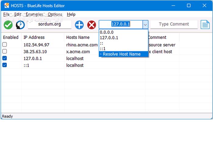 دانلود BlueLife Hosts Editor 1.6 - دانلود ویرایش فایل HOSTS - سافت گذر