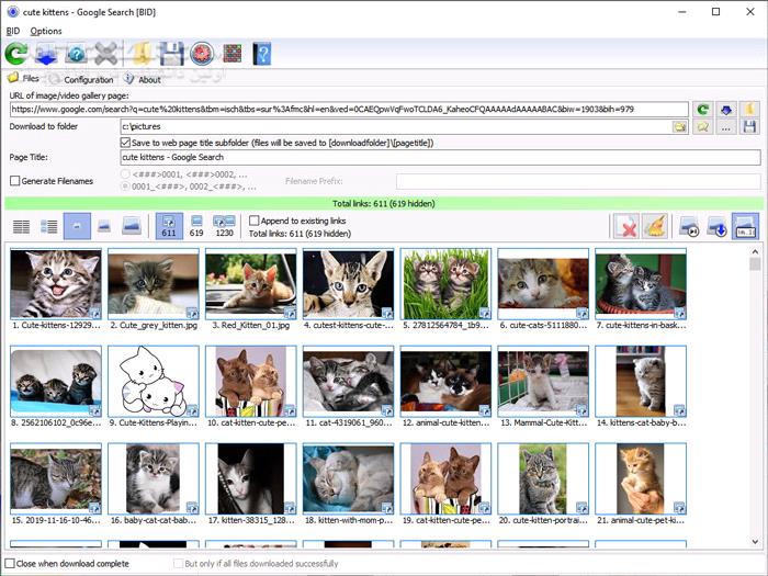 دانلود Bulk Image Downloader 6.41 - دانلود دانلود گالری های عکس از همه سایت ها - سافت گذر