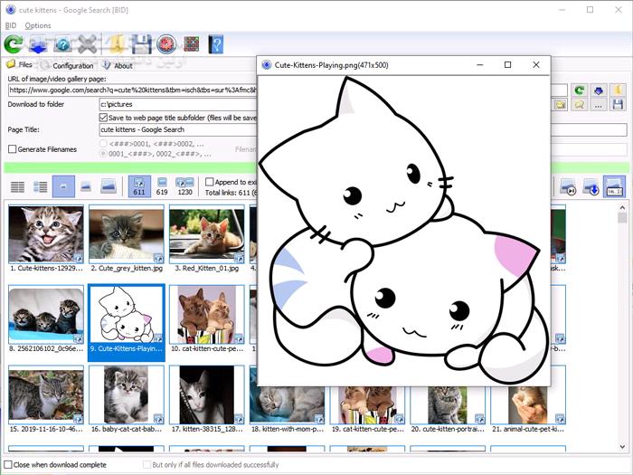 دانلود Bulk Image Downloader 6.41 - دانلود دانلود گالری های عکس از همه سایت ها - سافت گذر