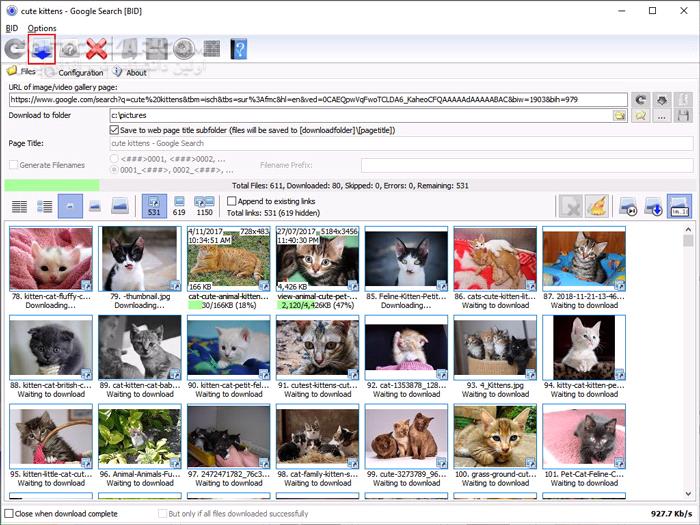 دانلود Bulk Image Downloader 6.41 - دانلود دانلود گالری های عکس از همه سایت ها - سافت گذر