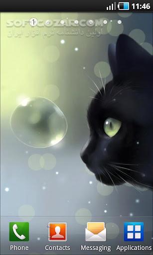 دانلود Curious Cat 1.2.0 for Android +2.1 - دانلود گربه کنجکاو برای اندروید - سافت گذر