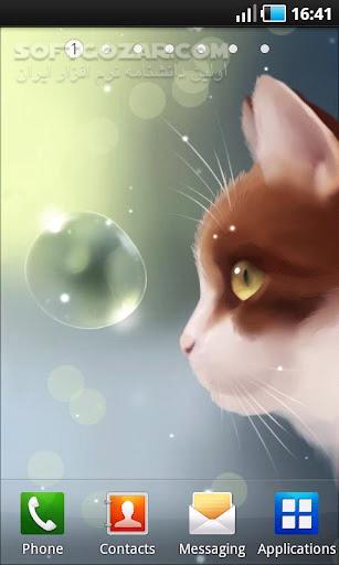 دانلود Curious Cat 1.2.0 for Android +2.1 - دانلود گربه کنجکاو برای اندروید - سافت گذر