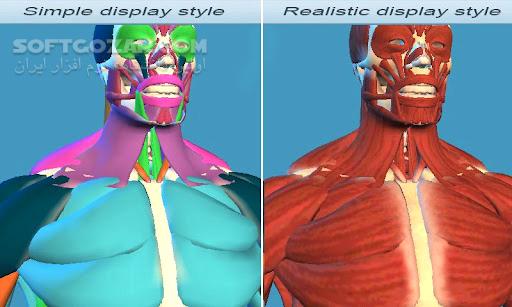 Easy Anatomy 3D 5 0 for Android تصاویر نرم افزار  - سافت گذر