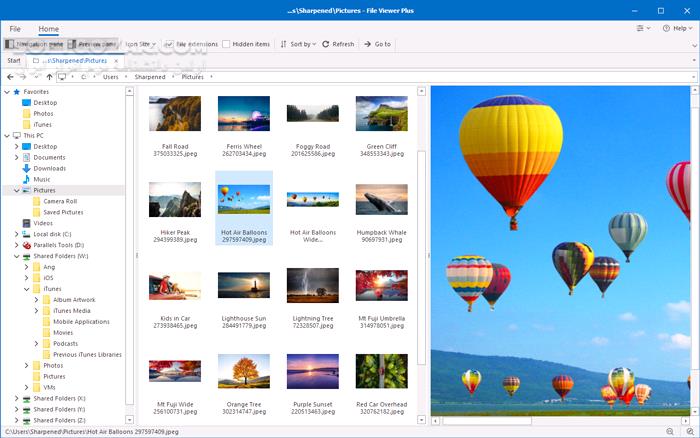 دانلود File Viewer Plus 5.1.0.10 - دانلود نمایش و ویرایش انواع فایل ها - سافت گذر