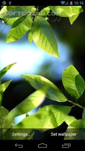 دانلود Fresh Leaves 1.8 for Android +2.1 - دانلود برگ های زیبا و طبیعی برای اندروید - سافت گذر