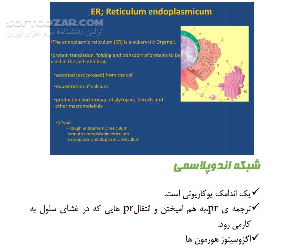 دانلود مفاهیم اصلی ژنتیک - دانلود کتاب سلول و عناصر ژنتیکی سلولی - سافت گذر