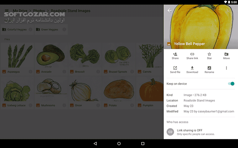 دانلود Google Drive 2.25.100.1 for Android +6.0 - دانلود گوگل درایو اندروید برای اندروید - سافت گذر