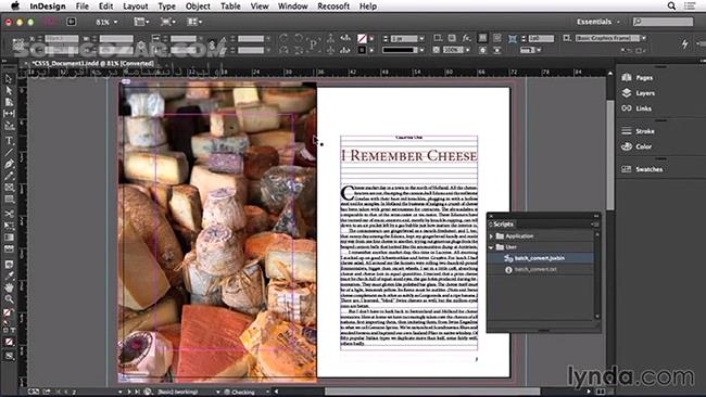 دانلود Lynda - Adapting a Print Layout for Digital Publishing - دانلود فیلم آموزش سازگار و آماده کردن یک طرح‌بندی چاپ برای انتشار دیجیتال - سافت گذر