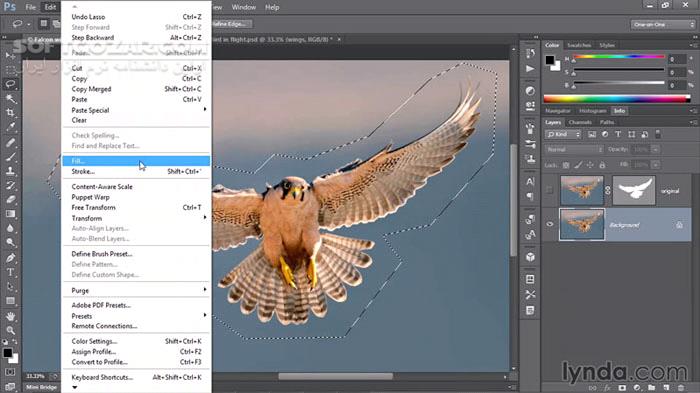 Lynda – Photoshop CC One on One – Fundamentals Intermediate Advanced Mastery تصاویر نرم افزار  - سافت گذر
