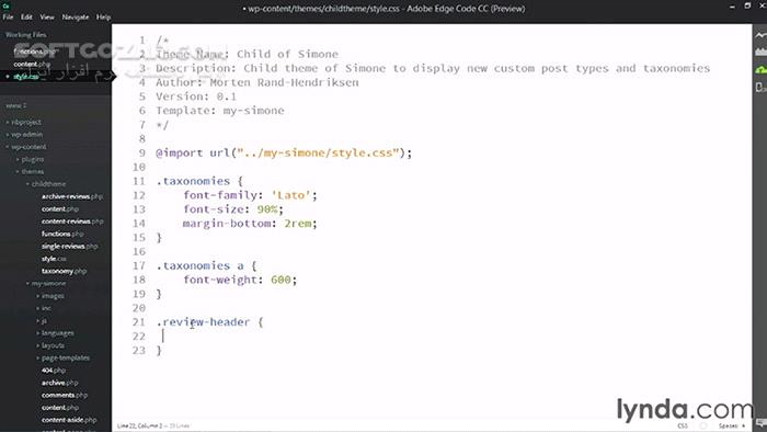 دانلود Lynda - WordPress: Custom Post Types and Taxonomies - دانلود فیلم آموزش سطح پیشرفته‌ی وردپرس با رویکرد نوع پست‌های سفارشی و طبقه‌بندی‌ها - سافت گذر