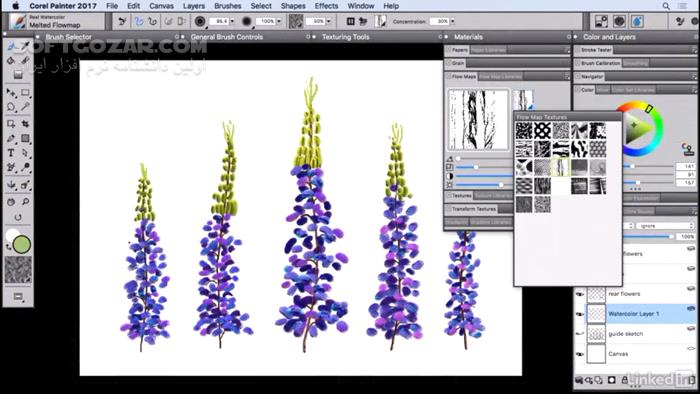 Lynda Corel Painter 2017 Essential Training تصاویر نرم افزار  - سافت گذر