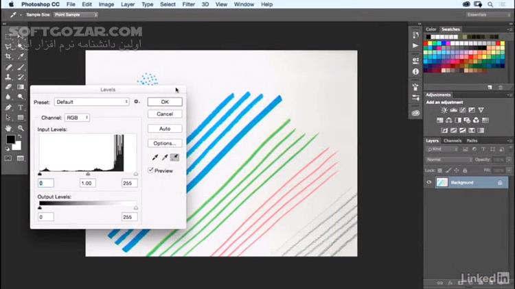 Lynda Designing a Poster with Custom Brushes in Illustrator تصاویر نرم افزار  - سافت گذر