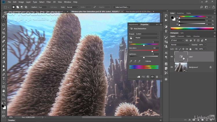 دانلود Lynda - Photoshop CC 2018 One-on-One: Fundamentals - دانلود آموزش فتوشاپ - سافت گذر