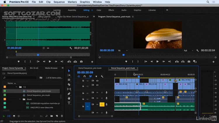 دانلود Lynda - Premiere Pro CC 2018 Essential Training: The Basics - دانلود آموزش پریمیر - سافت گذر