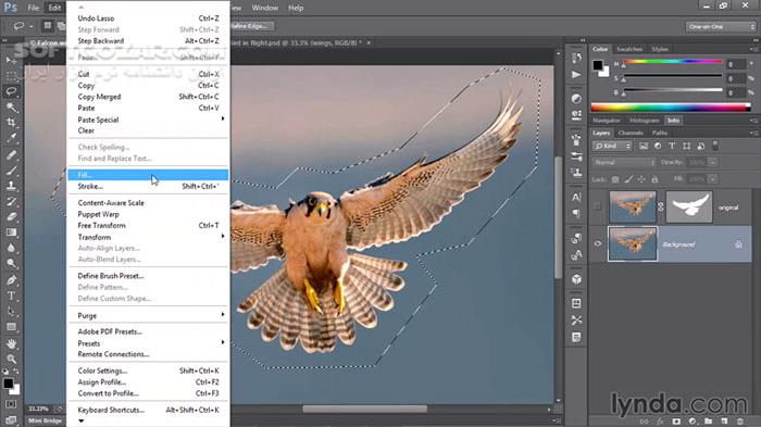 دانلود Lynda – Photoshop CC One-on-One – Fundamentals / Intermediate / Advanced / Mastery - دانلود مجموعه‌ 4 دوره‌ آموزش شرکت لیندا به صورت فیلم در مورد فتوشاپ نسخه‌ سی‌سی در چهار سطح مبتدی، متوسط، پیشرفته و حرفه‌ای - سافت گذر