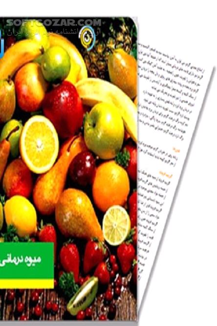 دانلود مکمل های درمانی با میوه ها - دانلود کتاب خواص میوه ها - سافت گذر