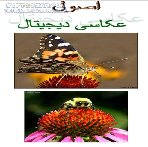 دانلود اصول عکاسی دیجیتال - دانلود کتاب آشنایی با  اصول عکاسی دیجیتال به زبان فارسی - سافت گذر