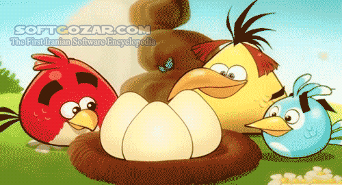 دانلود Angry Birds All Release Update 1403/07/13 for Android - دانلود بازی پرندگان خشمگین برای اندروید - سافت گذر