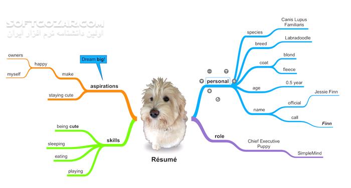 دانلود SimpleMind Pro 2.4.0 Build 6481 - دانلود نقشه ذهنی - سافت گذر