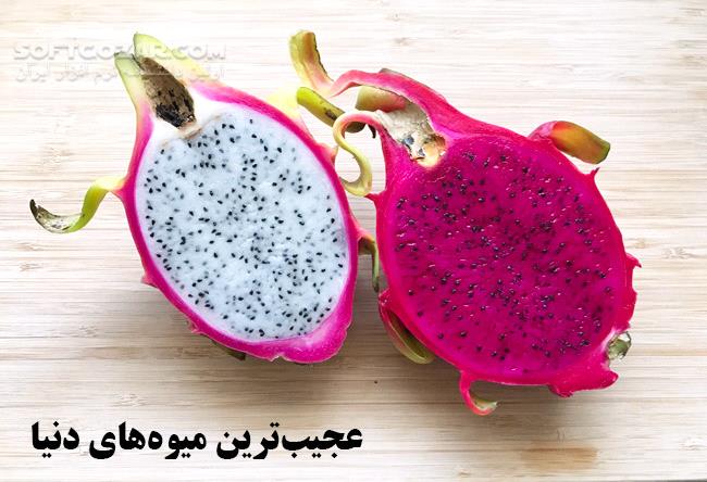 دانلود ویدئوی فارسی آشنایی با عجیب و غریب‌ترین میوه‌ها در دنیا - دانلود میوه های عجیب - سافت گذر