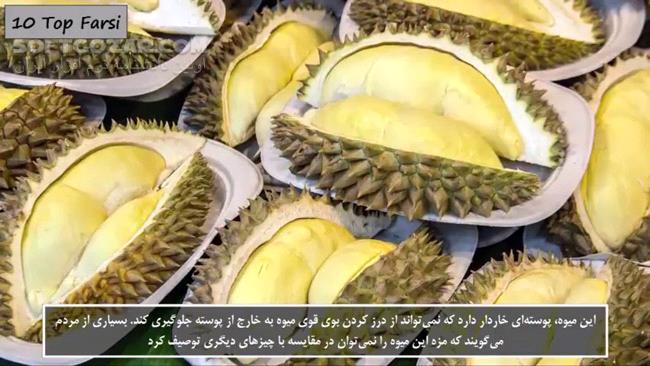 ویدئوی فارسی آشنایی با عجیب و غریب‌ترین میوه‌ها در دنیا تصاویر نرم افزار  - سافت گذر