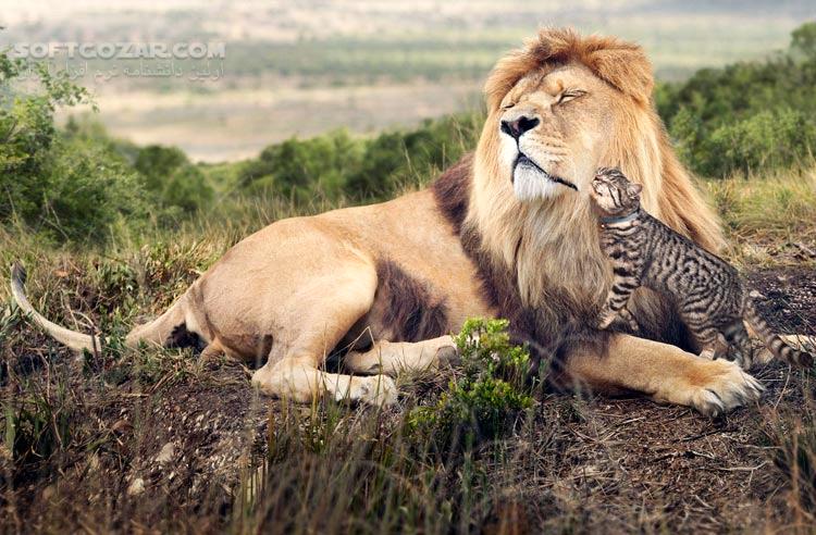 مستند کامل گربه سانان بزرگ با دوبله فارسی تصاویر نرم افزار  - سافت گذر