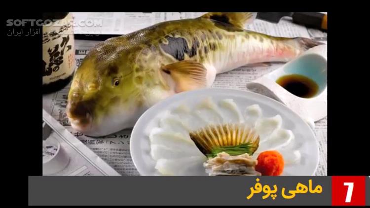دانلود ویدئوی فارسی معرفی 14 غذای عجیب و غریب از کشورهای مختلف - دانلود عجیب ترین غذاهای دنیا - سافت گذر