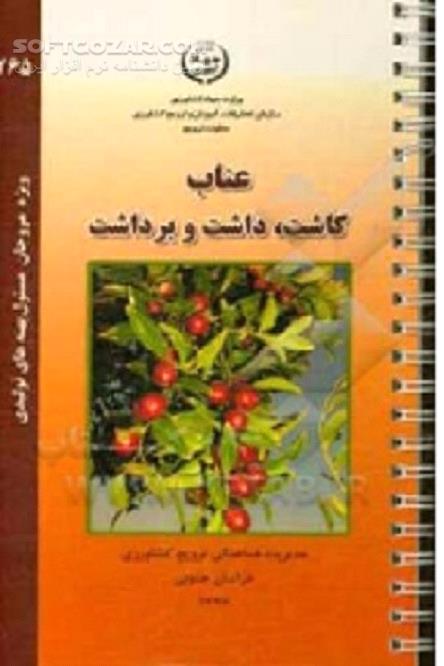 دانلود خاصیت دارویی عناب - دانلود کتاب درخت عناب - سافت گذر