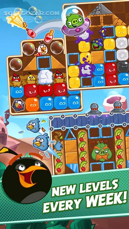 دانلود Angry Birds Blast 2.6.8 For Android +4.0 - دانلود Angry Birds Blast برای اندروید - سافت گذر